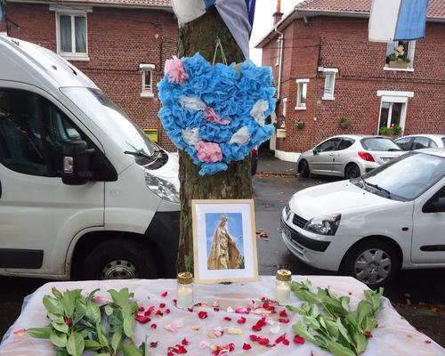 St Cordon Platanes (01)