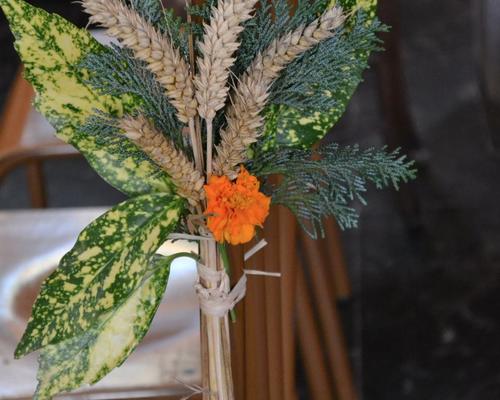 Images - Stald - Mairieux Saint Fiacre - 2015-08 -