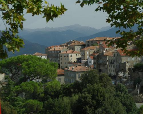 IMGP2411