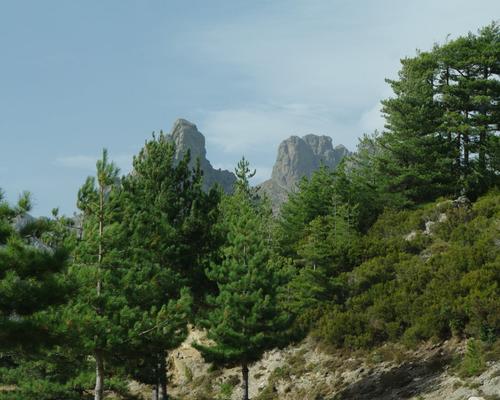 IMGP2426