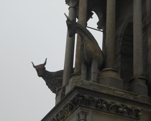 10. Dans les tours, les boeufs
