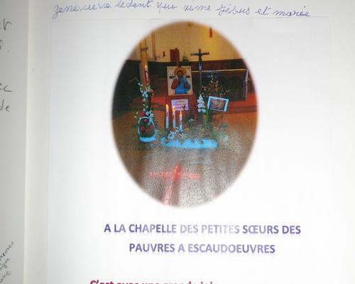 IMGP3085