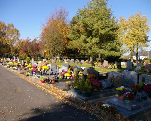 IMGP9641