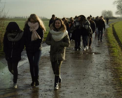 Balade dans les champs.