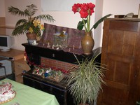 p1010025