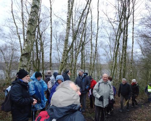 rando foret St Amand (2)