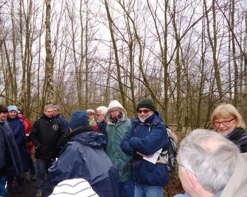 rando foret St Amand (3)