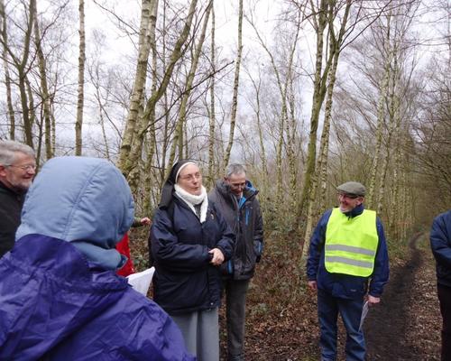rando foret St amand(3)