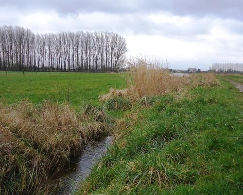 marche Aubry Arenberg (12)
