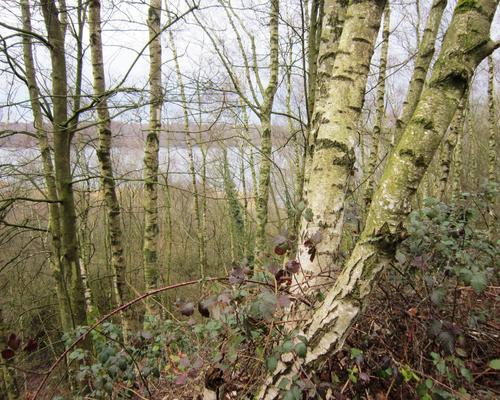 marche Aubry Arenberg (1)