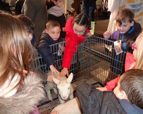 Fete des bergers 2016 (34)