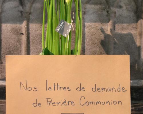 1604_1ères communions (Ecole de la Ste-Union) 36