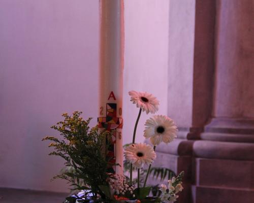 IMG_4379
