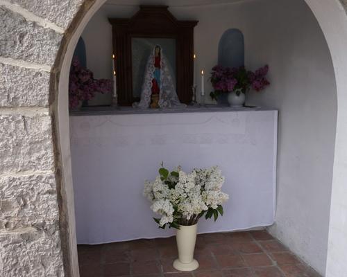 DSC03629