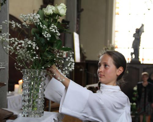 IMG_5464