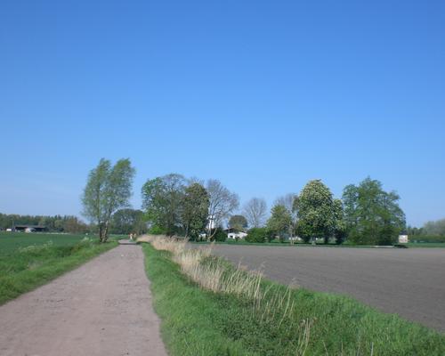 CIMG0170