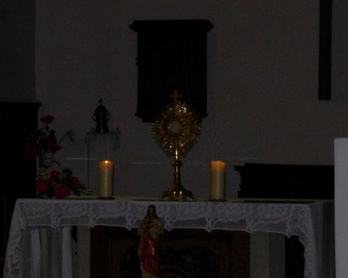 DSCN0348