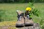 © Fotolia Chaussures Marche ET Fleurs