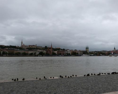 P1130514