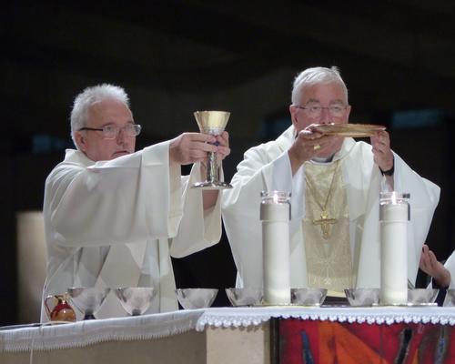 Lourdes2016_accueil (25)