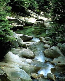 riviere_1_nature