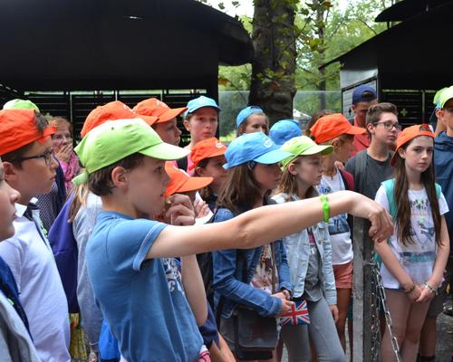 LOURDES2016-05 cierges 11