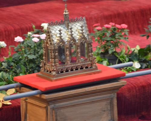 MESSE0110216 31