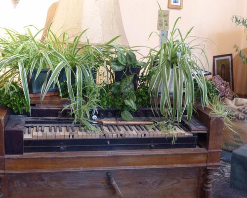 Mairieux-deco-StFiacre (5)
