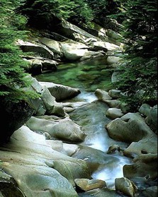riviere_1_nature