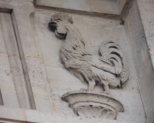 DSCN6487 - Copie