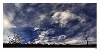 paysage