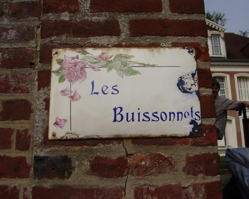 les buissonnets
