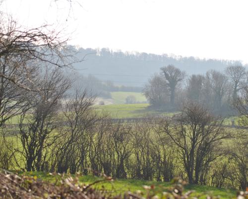 DSC_0343