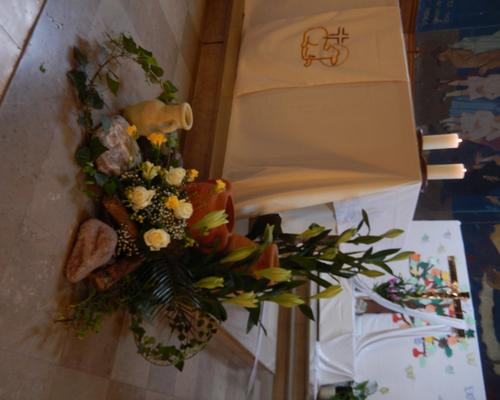 DSCN8691