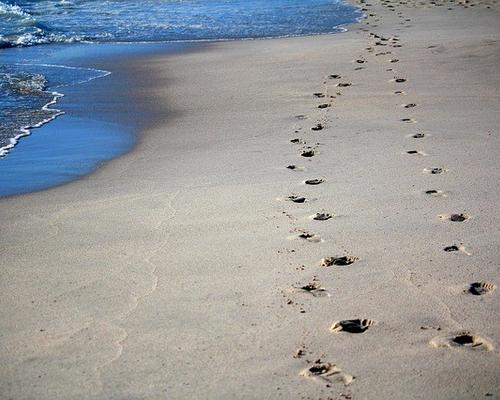 Pas_dans_sable