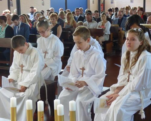 Prof Foi St Roch 2017 (42)