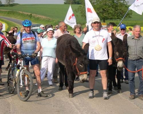 Avec les ânes