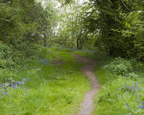 Etang du flaquet