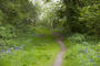 Etang du flaquet