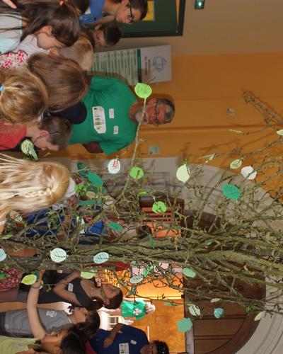l'arbre a reverdi, il attend ses fruits ...