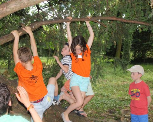 agiles, les enfants abricotiers ...
le parc recèle de nombreux trésors !