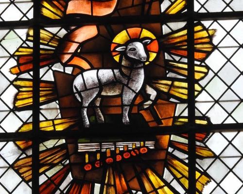 Prof foi Cathedrale 2017 (81)