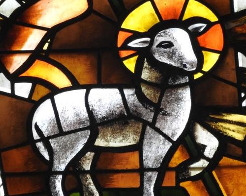 Prof foi Cathedrale 2017 (82)