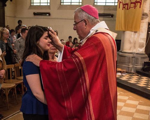 Confirmation doyenné 3 juin 2017 44