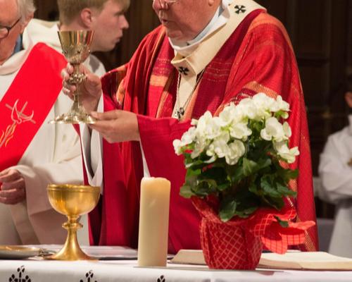 Confirmation doyenné 3 juin 2017 55