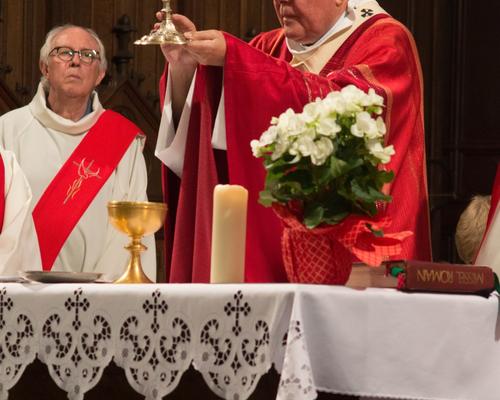 Confirmation doyenné 3 juin 2017 58
