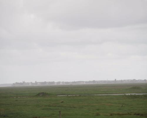 IMG_8058