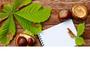 © Fotolia Bloc Notes Automne
