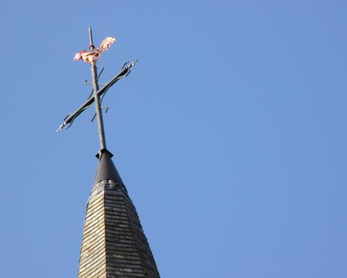 IMG_4129