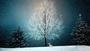 © cocoparisienne - pixabay winter, wintry, snow